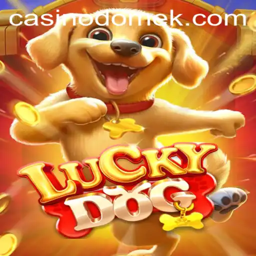 Exploring the World of LuckyDog: An Intriguing Casino Game on hhnnbet